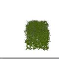 Green Wall Decorative Panels With Varied Plant Designs For Indoor Outdoor Use