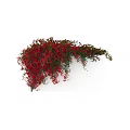 Decorative Ornament Set with Red Flowers Vines on White Wall and Silhouette Figure