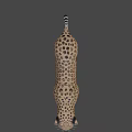 Detailed Realistic 3D Leopard Model With Spotted Fur And Lifelike Stance