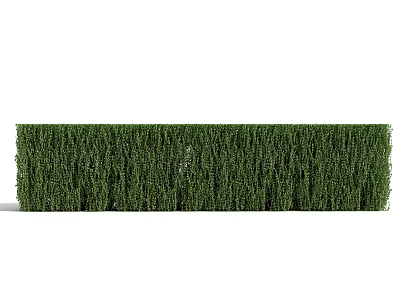 Modern shrub hedge 3d model