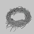Natural Bird Nest Composed of Dry Twigs and Branches with Intricate Structure