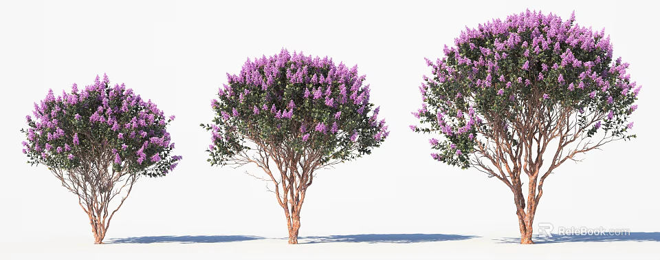 Blooming Arbor With Purple Flowers Lush Green Leaves And Brown Trunks 3d model 