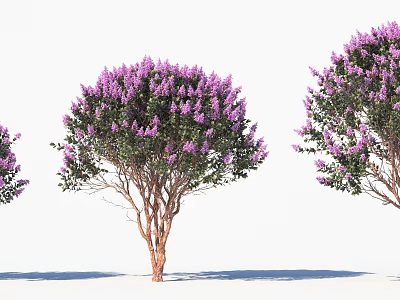 Blooming Arbor With Purple Flowers Lush Green Leaves And Brown Trunks 3d model