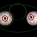 Human Eyes Displaying Detailed Vascular Texture With Green Outline Against Black Background