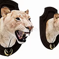 Wall Decor With Fierce Lion Head Sculptures In Dark Frames 3d model