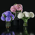 Colorful Hydrangea Flowers In Glass Vases Decorative Arrangement With Purple Pink White Blooms