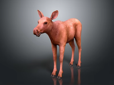 Realistic 3D Model of Brown Moose Standing on Dark Background with Reflection 3d model