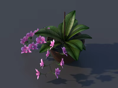 Bonsai Potted Plant With Vibrant Purple Flowers And Lush Green Leaves 3d model