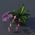 Bonsai Potted Plant With Vibrant Purple Flowers And Lush Green Leaves