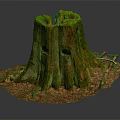 Natural Wood Tree Stump With Green Moss And Rustic Branches On Ground