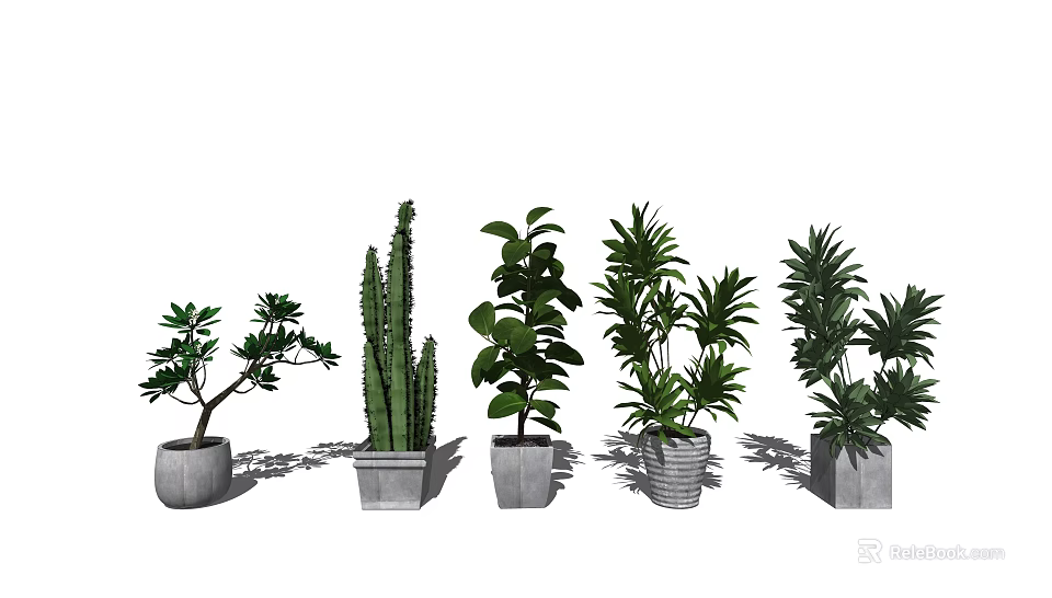 Various Decorative Potted Plants With Cactus And Leafy Green Plants In Concrete Pots 3d model 