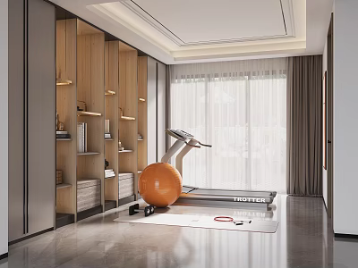 Modern Game Room With Fitness Equipment Wooden Shelves And Large Windows 3d model