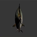 Colorful Silver Fish With Scaly Body And Red Fins On Dark Background