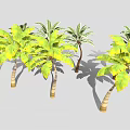 Green and Yellow Leafy Palm and Banana Trees with Light Colored Trunks in Gray Background