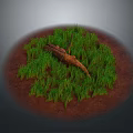 Natural Scene With Circular Area Green Grass Brown Wood And Red Soil