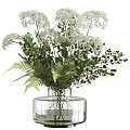 Transparent Glass Vase With White Flowers Green Leaves And Ferns Decorative Arrangement