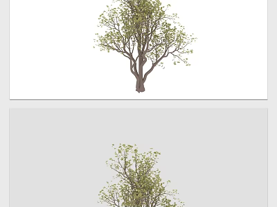 Tall Arbor With Green Leaves And Sturdy Trunk In Garden Landscape Design 3d model
