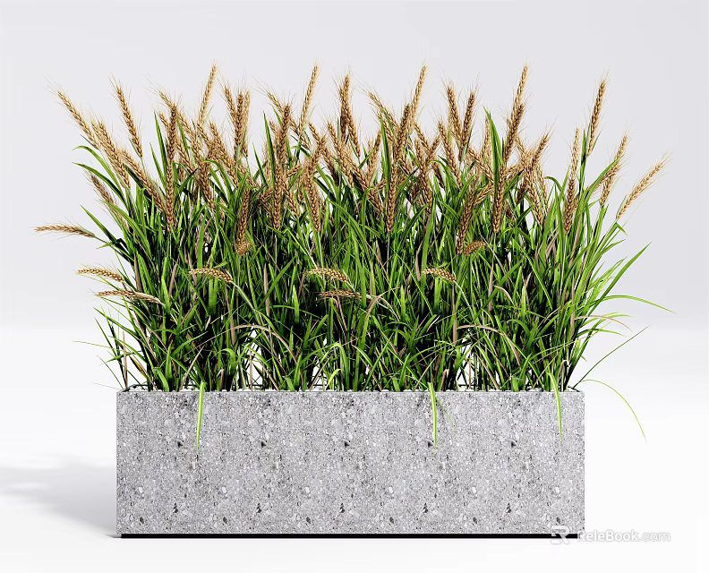 Ornamental Potted Green Grass Plant In Concrete Planter With Leafy Foliage And Spikelets 3d model 
