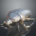 Metallic Silver Beetle Figurine With Water Droplets On Smooth Black Surface Showing Reflective Base Details