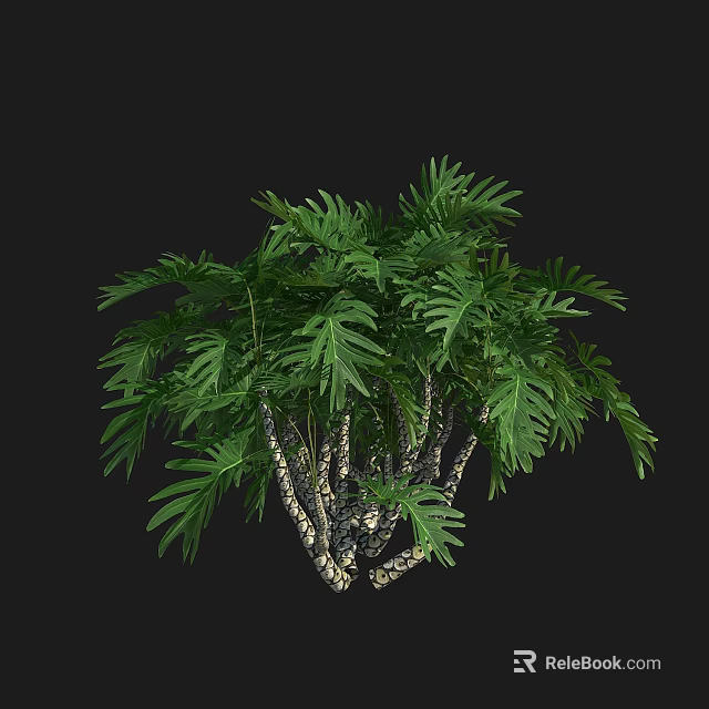 Lush Green Shrub With Dense Foliage And Wooden Stems Against Black Background 3d model 