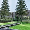 Modern Garden Landscape With Tall Pine Trees Green Lawn Stepped Pathway Statue And Building Background