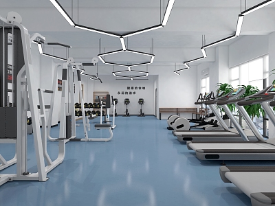 Gym 3d model