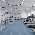 Gym 3d model