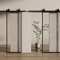 Sliding Glass Barn Door With Black Frame In Modern Interior With Wooden Floor And Plant