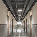Modern Elevator Hallway With Polished Floor Ceiling Lights Potted Plant And Wooden Doors