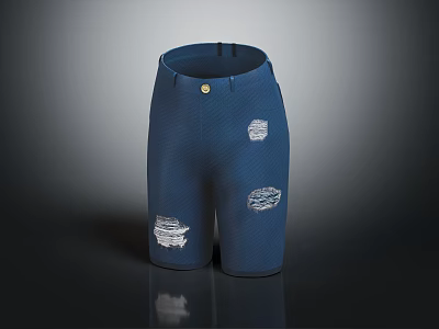 Stylish Blue Distressed Shorts With Front Button And Textured Fabric Design 3d model