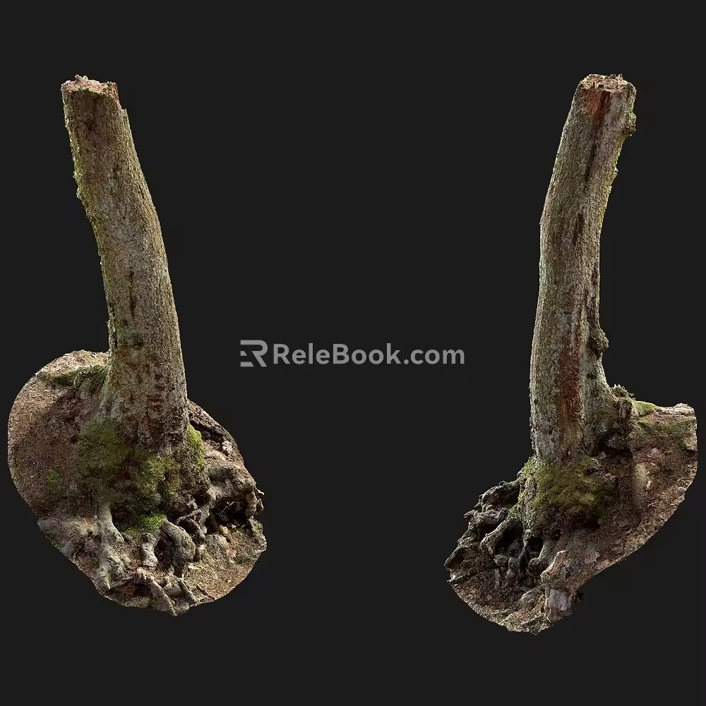 tree root moss bark tree dry tree 3d model