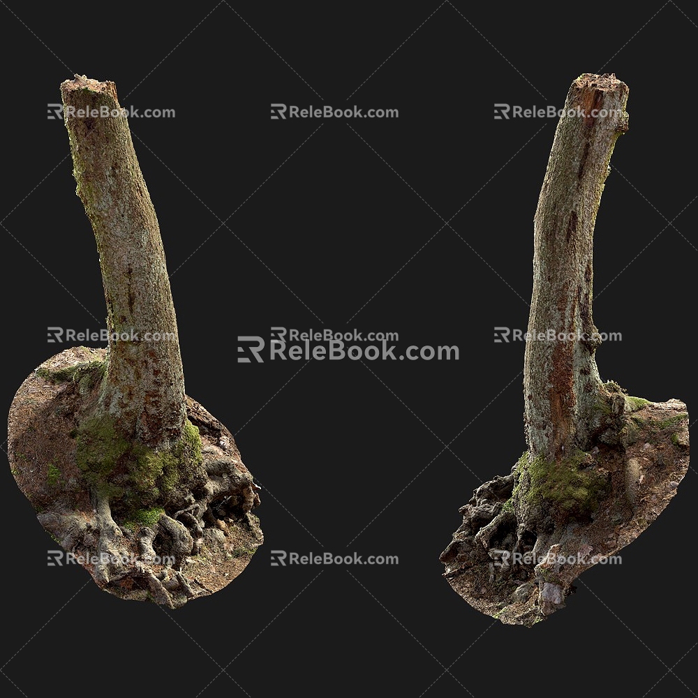 tree root moss bark tree dry tree 3d model