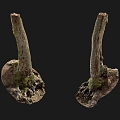 tree root moss bark tree dry tree 3d model