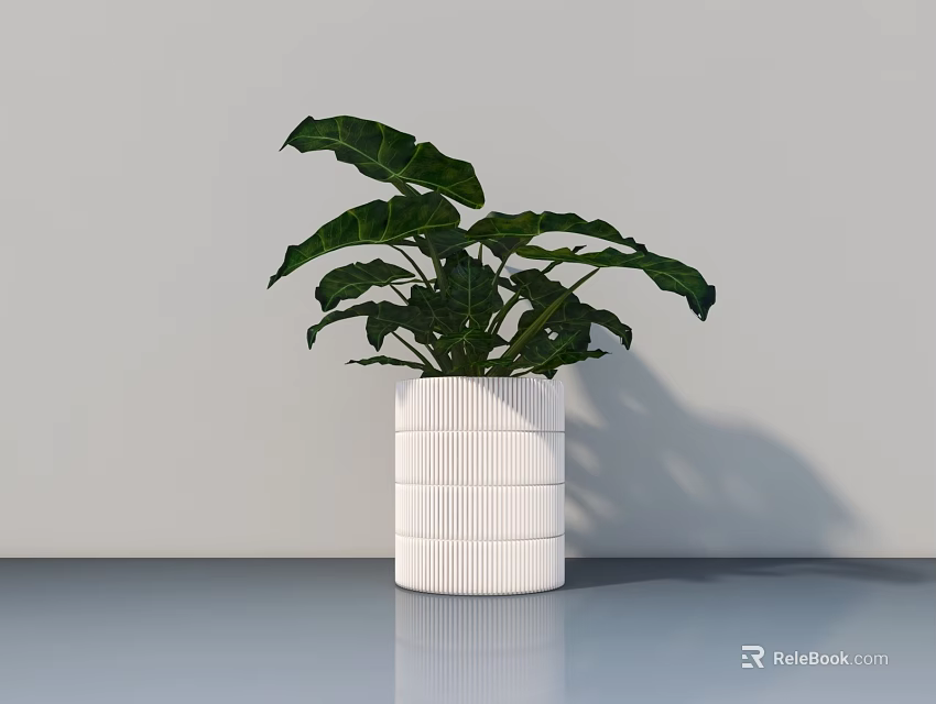 Potted Plant in White Striped Pot with Large Green Leaves in Minimalist Interior 3d model 