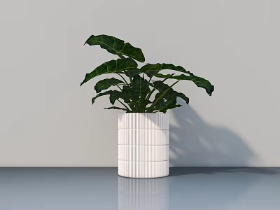 Potted Plant in White Striped Pot with Large Green Leaves in Minimalist Interior 3d model