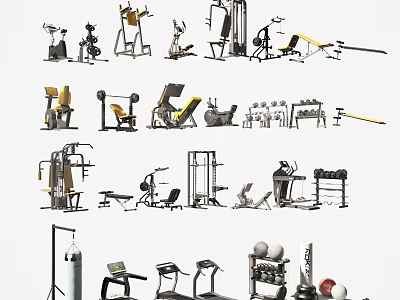 Diverse Home Gym Sports Equipment Including Treadmills Dumbbells Weight Benches And Fitness Machines 3d model