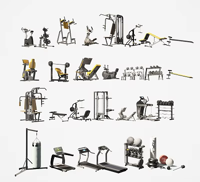 Diverse Home Gym Sports Equipment Including Treadmills Dumbbells Weight Benches And Fitness Machines 3d model