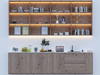 Wooden Shelf Unit With Books Trophies Certificates Lighting And Under Cabinet Storage 3d model