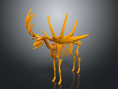 Yellow Deer Skeleton Model 3D Rendering with Detailed Antler and Bone Structure 3d model