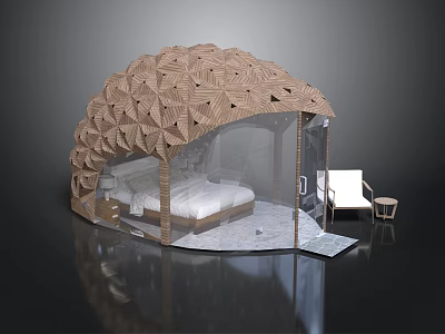 Modern Dome Shaped Building With Wooden Geometric Pattern Transparent Covering And Bed Inside 3d model