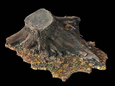 Rustic Tree Stump Decorative Piece With Colorful Fallen Leaves And Natural Texture 3d model