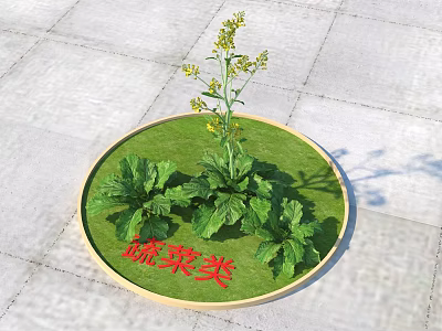 Fresh Leafy Vegetables With Yellow Flowers In Circular Green 3d model