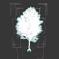 Lush Green Arbor With Dense Foliage Strong Trunk And Exposed Roots On Dark Background