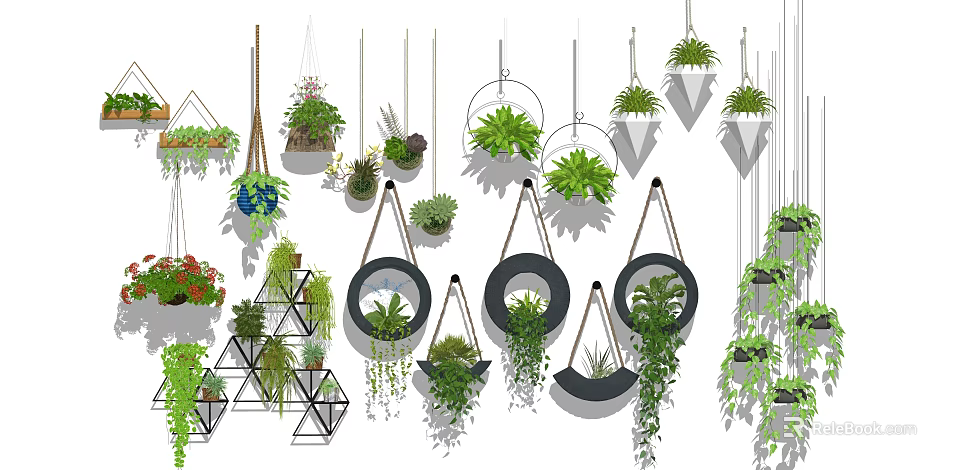 Decorative Hanging Basket Plants With Various Shapes And Lush Greenery 3d model 