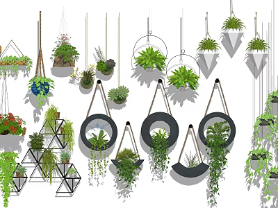 Decorative Hanging Basket Plants With Various Shapes And Lush Greenery 3d model