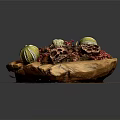 Natural Plant Arrangement With Green Fruits Red Berries Honeycomb Elements On Wooden Base