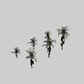 Six Green Arbor Trees In Different Poses With Lush Foliage And Trunks 3d model