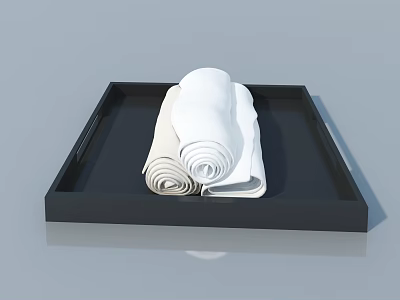 Modern Swing Door Design With Black Tray And White Rolled Cloth 3d model