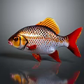 Shiny Scaled Red Fish Decorative Household Ornament With Orange Tail And Reflective Finish