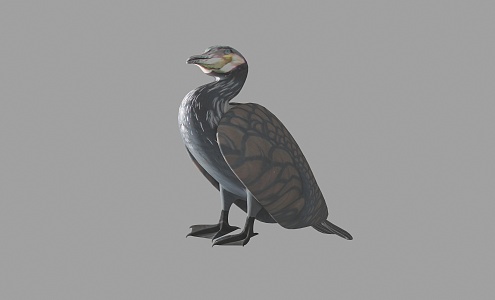 Modern bird cormorants 3d model